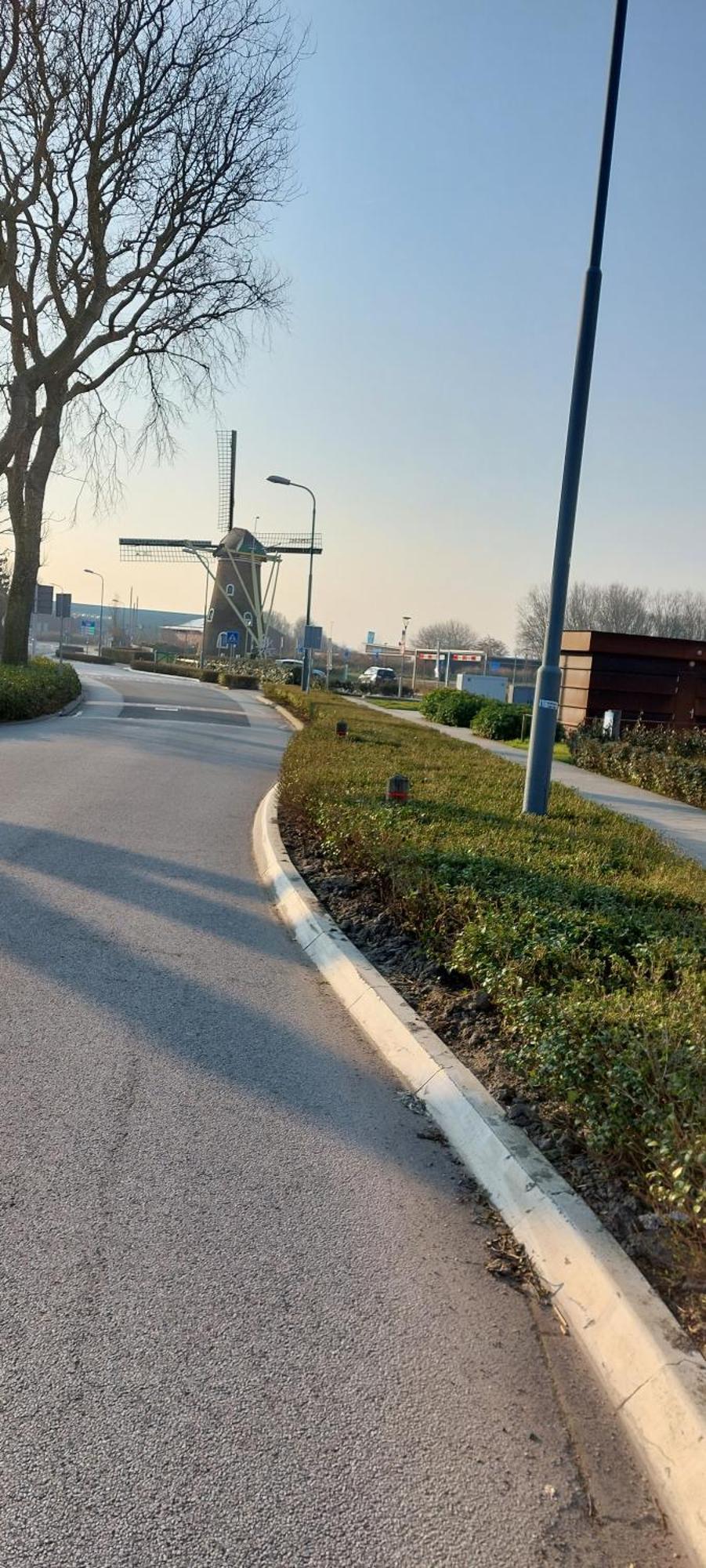 Wijngaardstraat 7A Domburg Villa Dış mekan fotoğraf